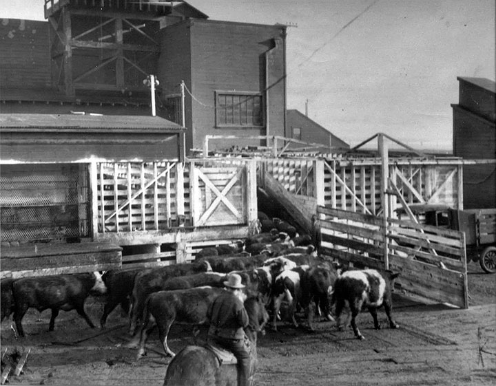 Butchertown India Basin